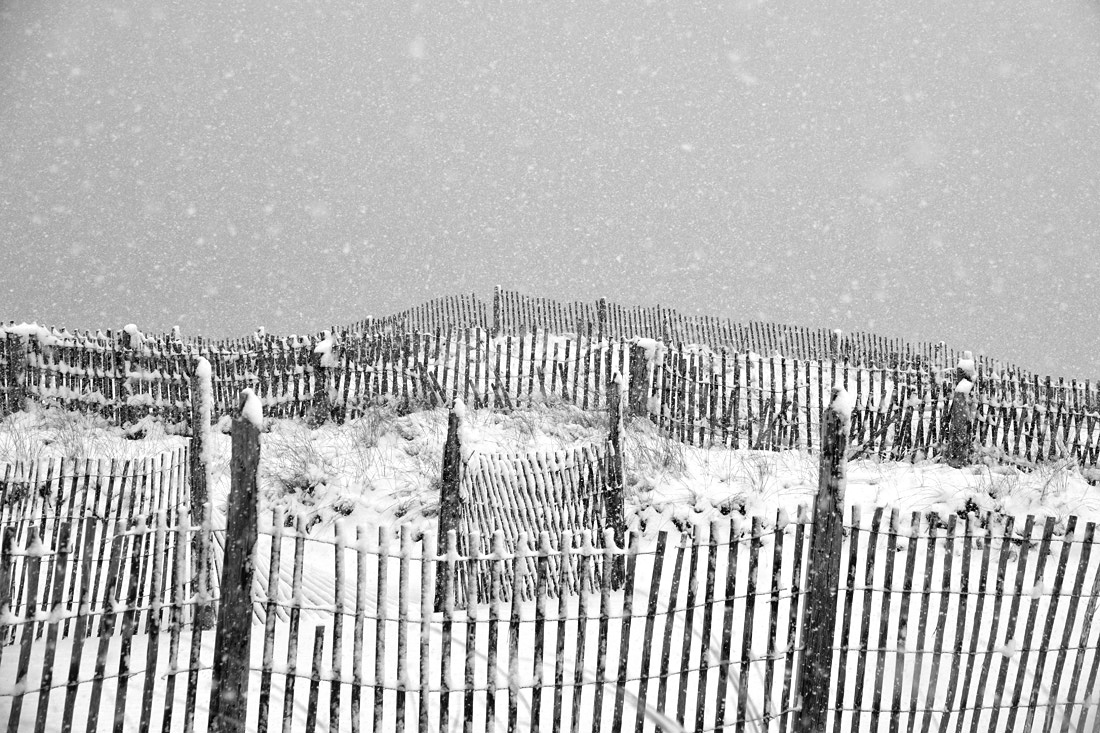 Snow Returns: It's Still Beautiful!
