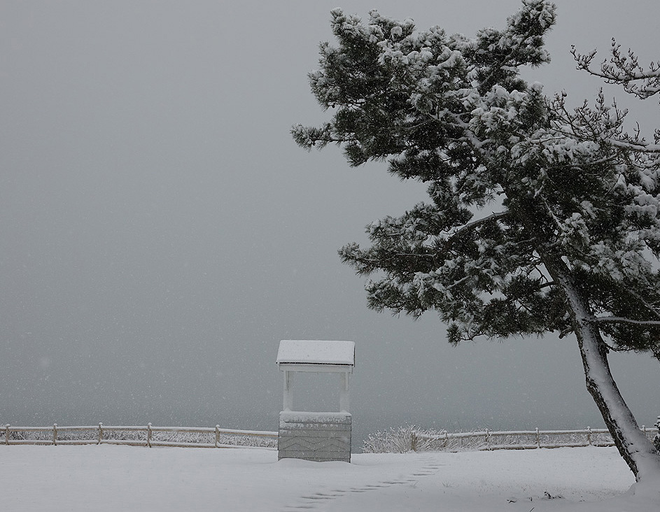 Snow Returns: It's Still Beautiful!