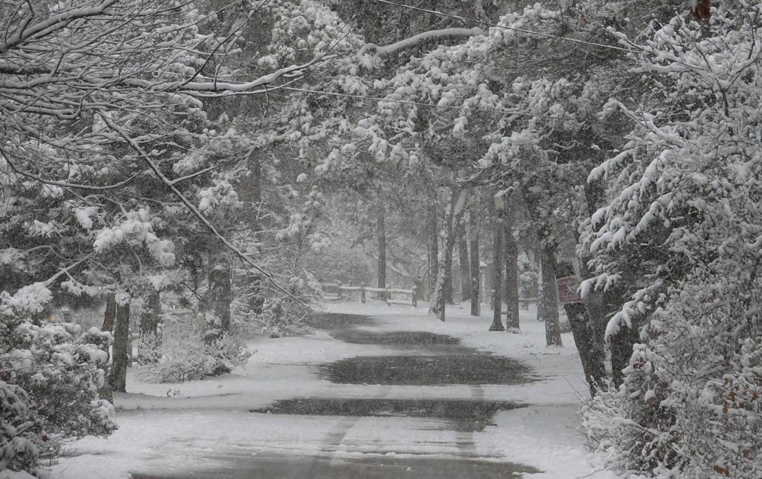 Snow Returns: It's Still Beautiful!