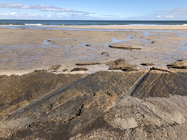 Ancient Tracks at Nauset Beach