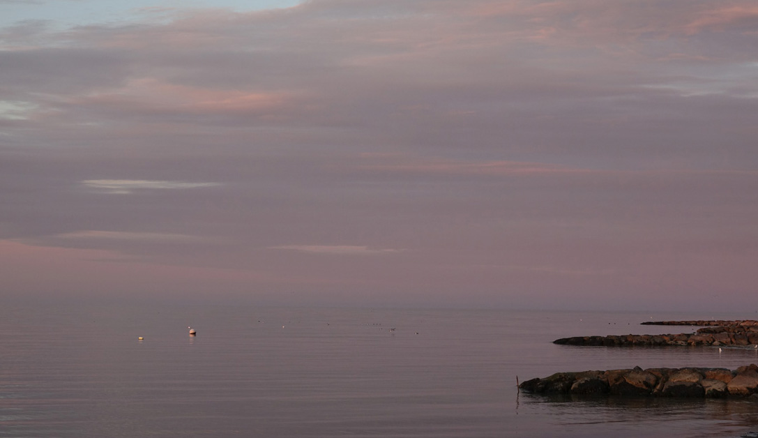 Sunrise With Crescent Moon At Forest Beach!