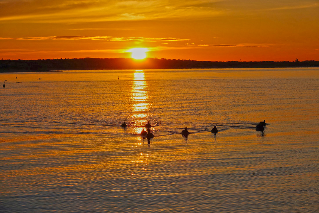 Sunrise With Crescent Moon At Forest Beach!