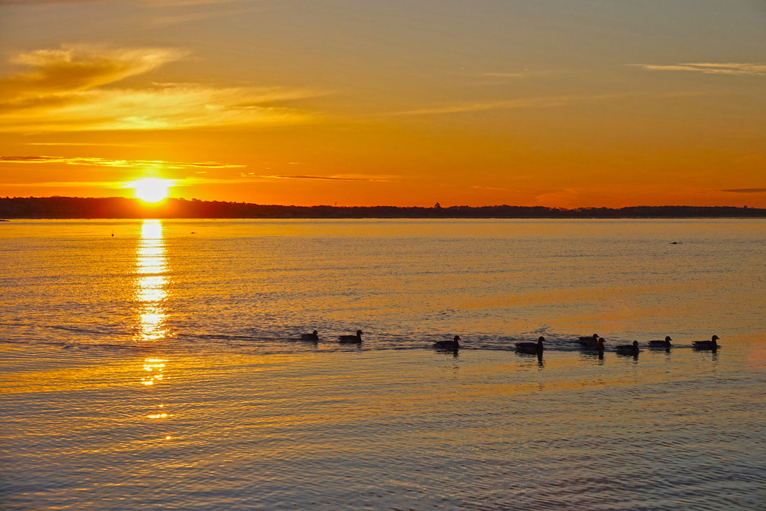 Sunrise With Crescent Moon At Forest Beach!