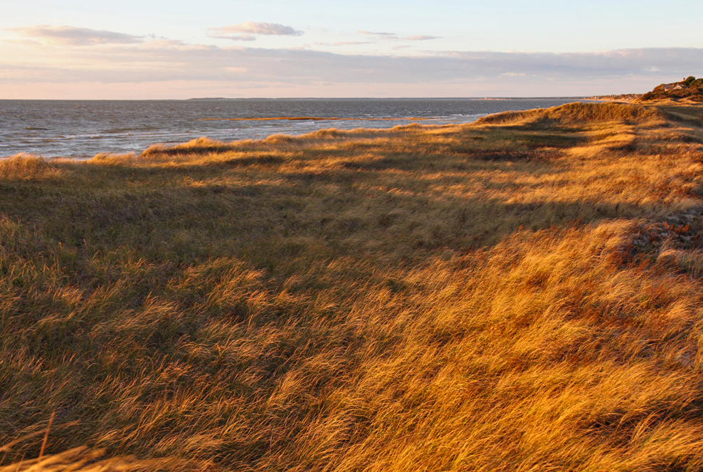 Sunset: First Encounter Beach, Eastham
