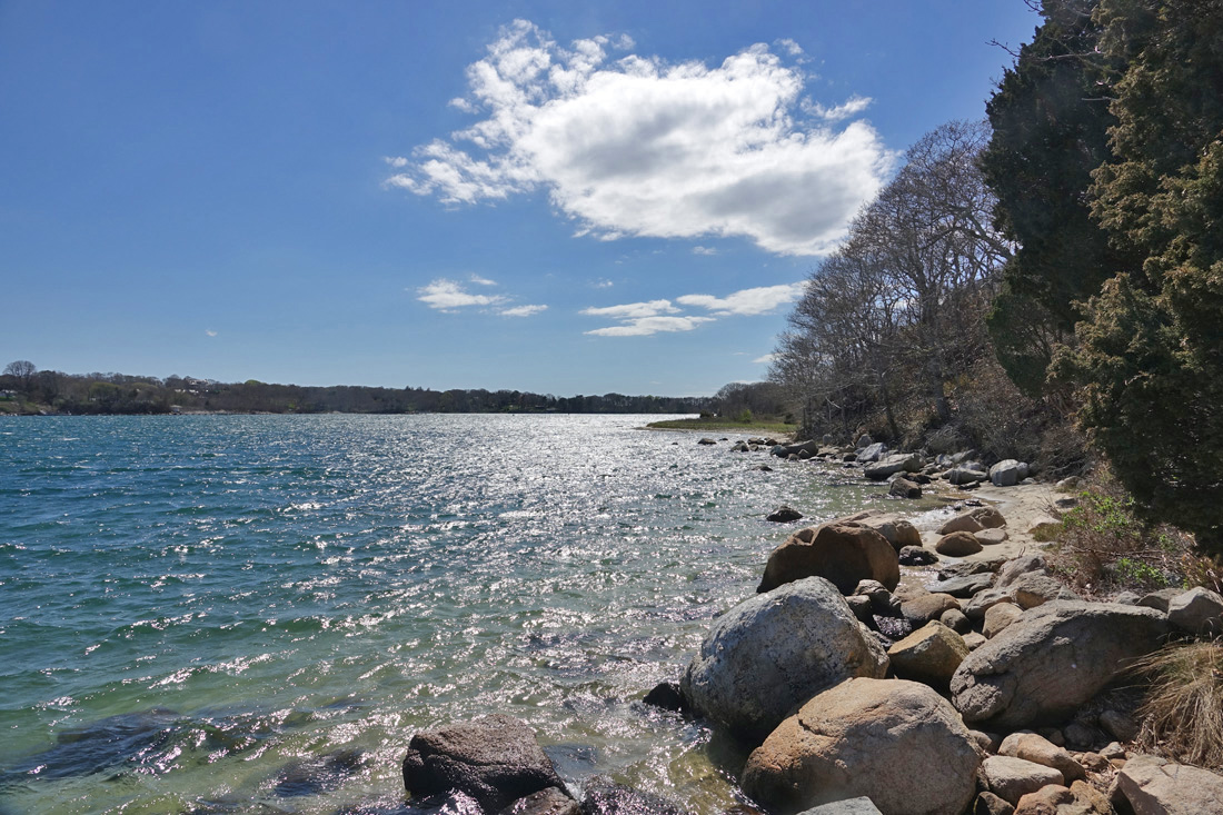 The Knob: A Fantastic Hike on Quissett Harbor, Falmouth!