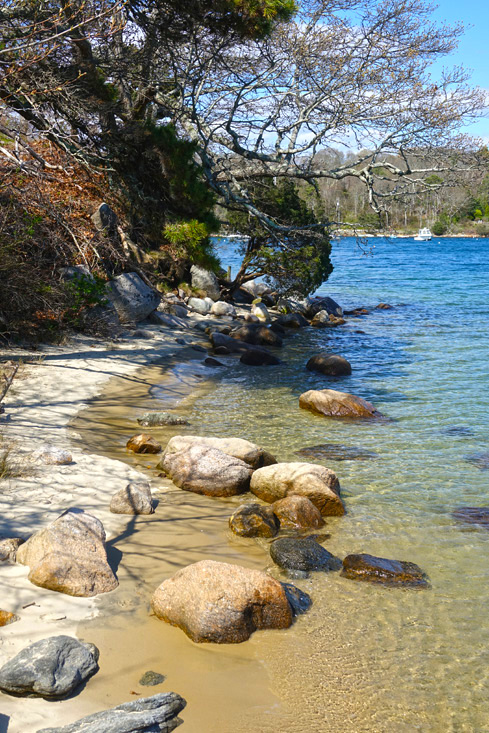 The Knob: A Fantastic Hike on Quissett Harbor, Falmouth!