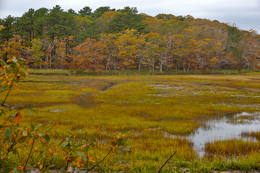 Tidal Scenic From Eastham & Wellfleet!