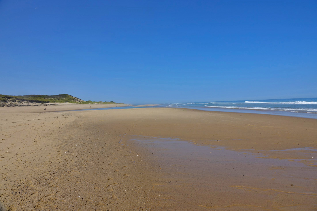 Truro Views: Head of the Meadow Beach!