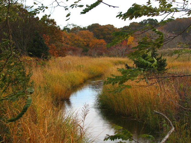 Autumn Colors, Paine's Creek, Brewster