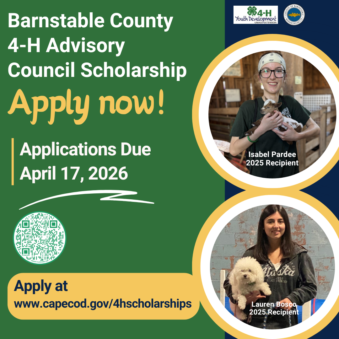 4-H Advisory Council accepting scholarship applications for Cape youth