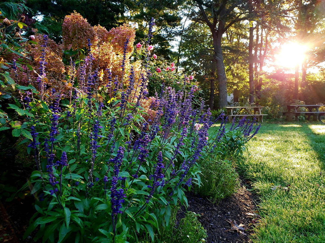 PHOTOS ArmstrongKelley Park