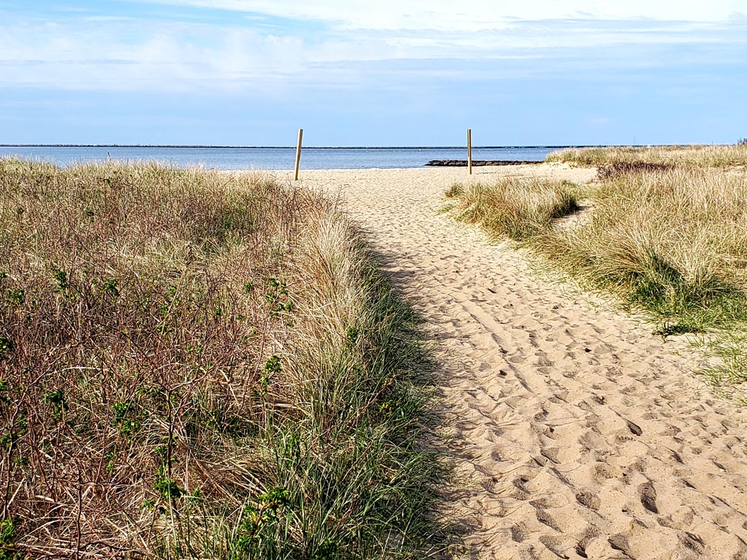 Beach Closures Because of Contamination Keeps Sunbathers Out of the Water Beach Closures Because of Contamination Keeps Sunbathers Out of the Water