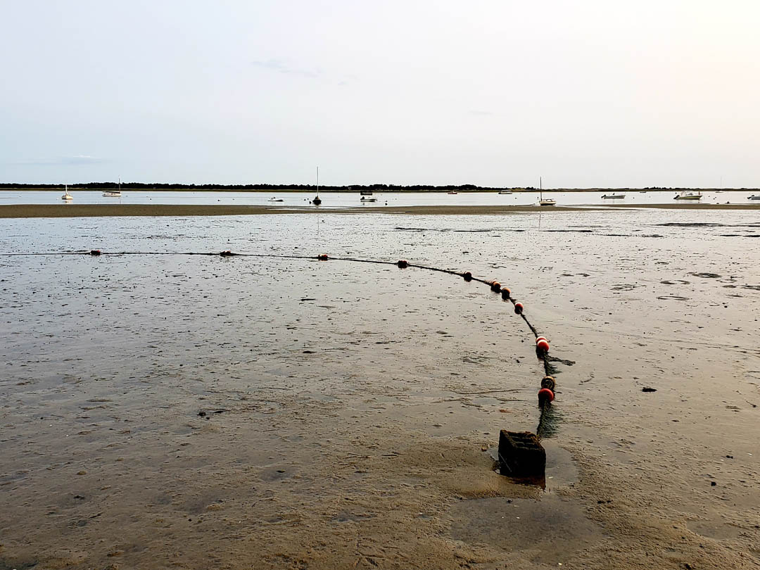 Report Finds Bacteria at Hundreds of Massachusetts Beaches