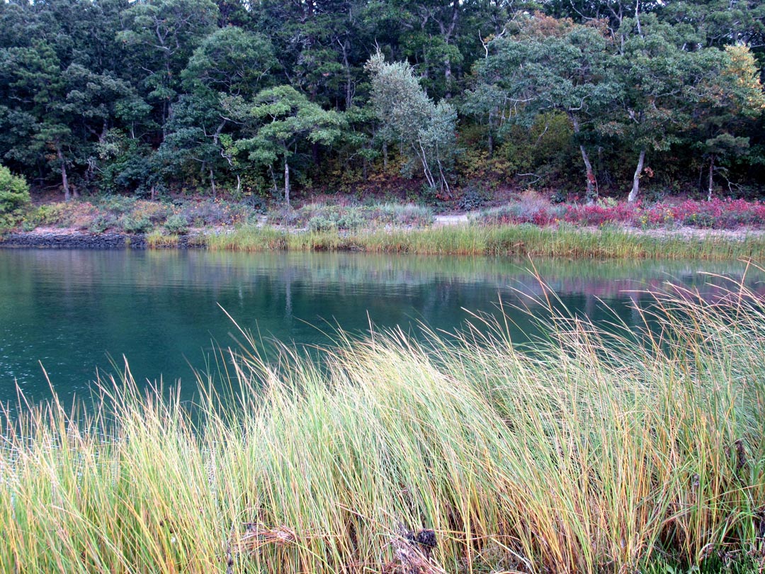 Photos monks park pocasset capecod