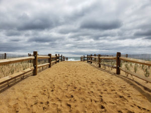 Nauset Beach