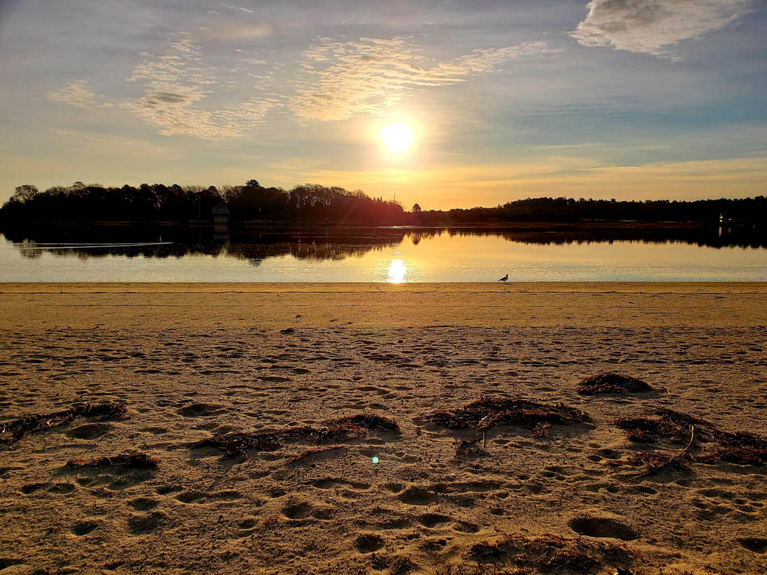 PHOTOS Shell Point Beach