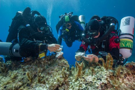 COURTESY OF THE WOODS HOLE OCEANOGRAPHIC INSTITUTION: Antikythera team members Nikolas Giannoulakis, Theotokis Theodoulou and Brendan Foley inspect small finds from the shipwreck while decompressing after a dive to 265 feet. (Photo by Brett Seymour, EUA/WHOI/ARGO)