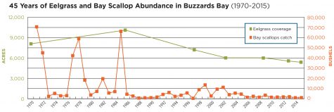 bay-scallop-graph