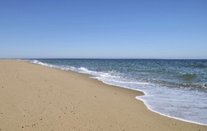 Beach-Cape-Cod