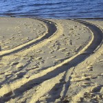 Beach Tracks