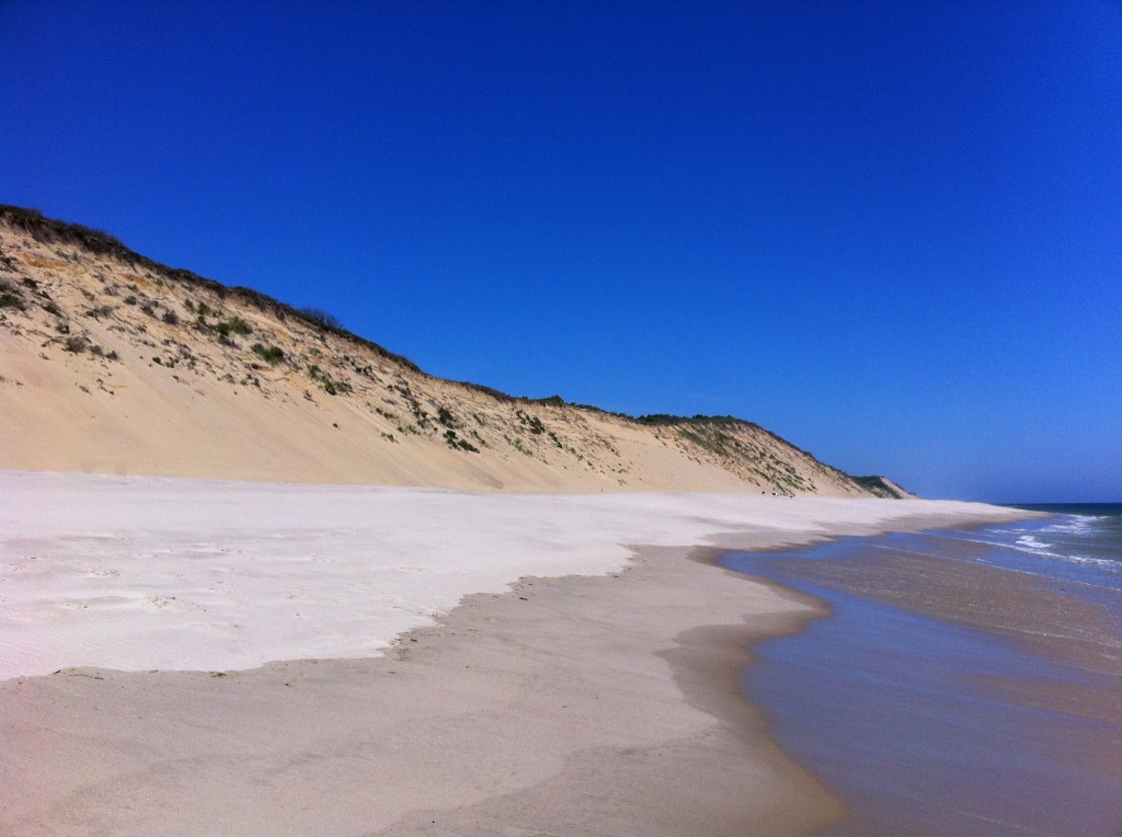 BeachPicture