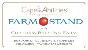 Cape Abilities Chatham Stand