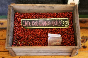 Cape Cod Cranberries