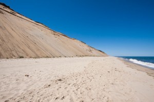 Cape Cod Dunes