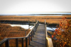 Cape Cod in the Fall