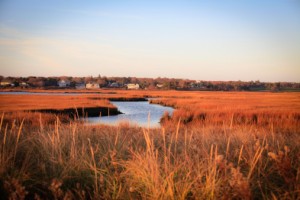 Cape Cod in the Fall