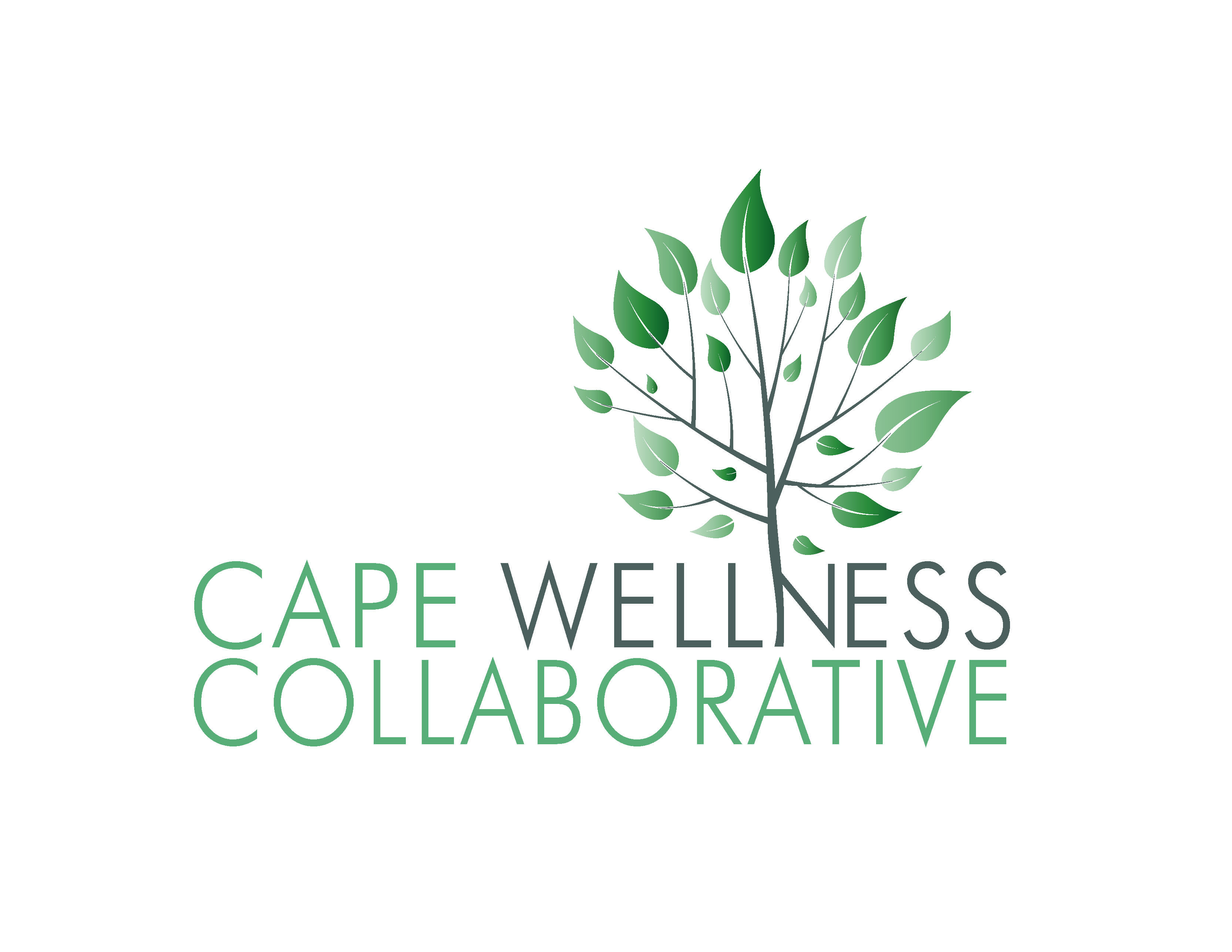 Cape Cod Women’s Music Festival Returns