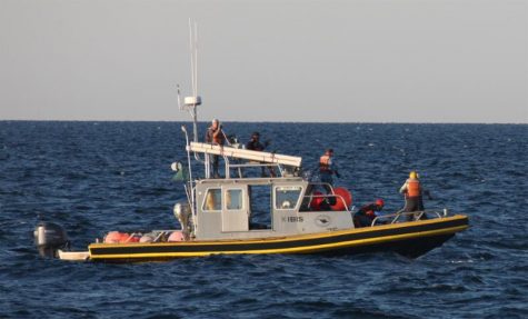 COURTESY OF THE CENTER FOR COASTAL STUDIES: Research and rescue vessel, Ibis