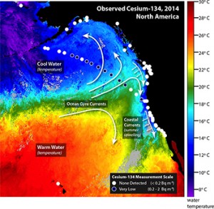 COURTESY OF WHOI This illustration shows the tracking of Cesium levels from the Fukushma plume.