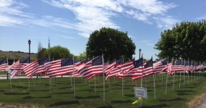 Flags of Honor display in Dennis