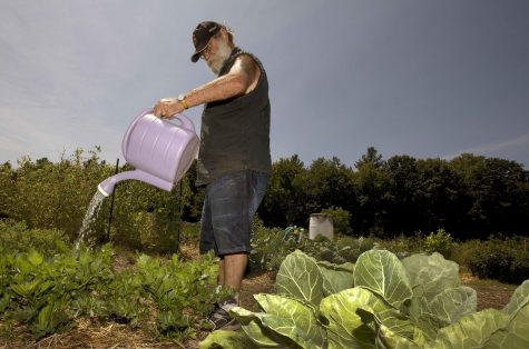 In this photo taken Thursday, July 21, 2016, Peter Ellermann waters his garden at the Community Gardens in Concord, N.H. The summer drought has forced Ellermann to cart in 30 gallons of water in five fallen containers three times a week to keep his plants healthy. Parts of the Northeast are in the grips of a drought that has led to water restrictions, wrought havoc on gardens and raised concerns among farmers. (AP Photo/Jim Cole)