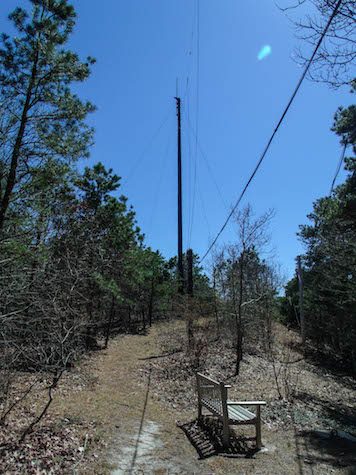 The view toward the top of the Antenna Field Trail. 