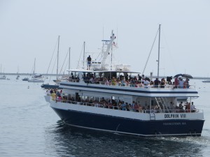CCB MEDIA PHOTO A whale watch boat departs Provincetown Harbor, where New Hampshire officials are hoping to establish high-speed ferry service