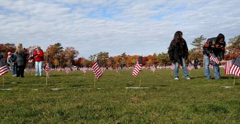 CCB MEDIA PHOTO: Volunteers placing flags Saturday during Operation Flags for Vets at the Massachusetts National Cemetery in Bourne.