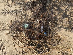 BallstonBeachTrash