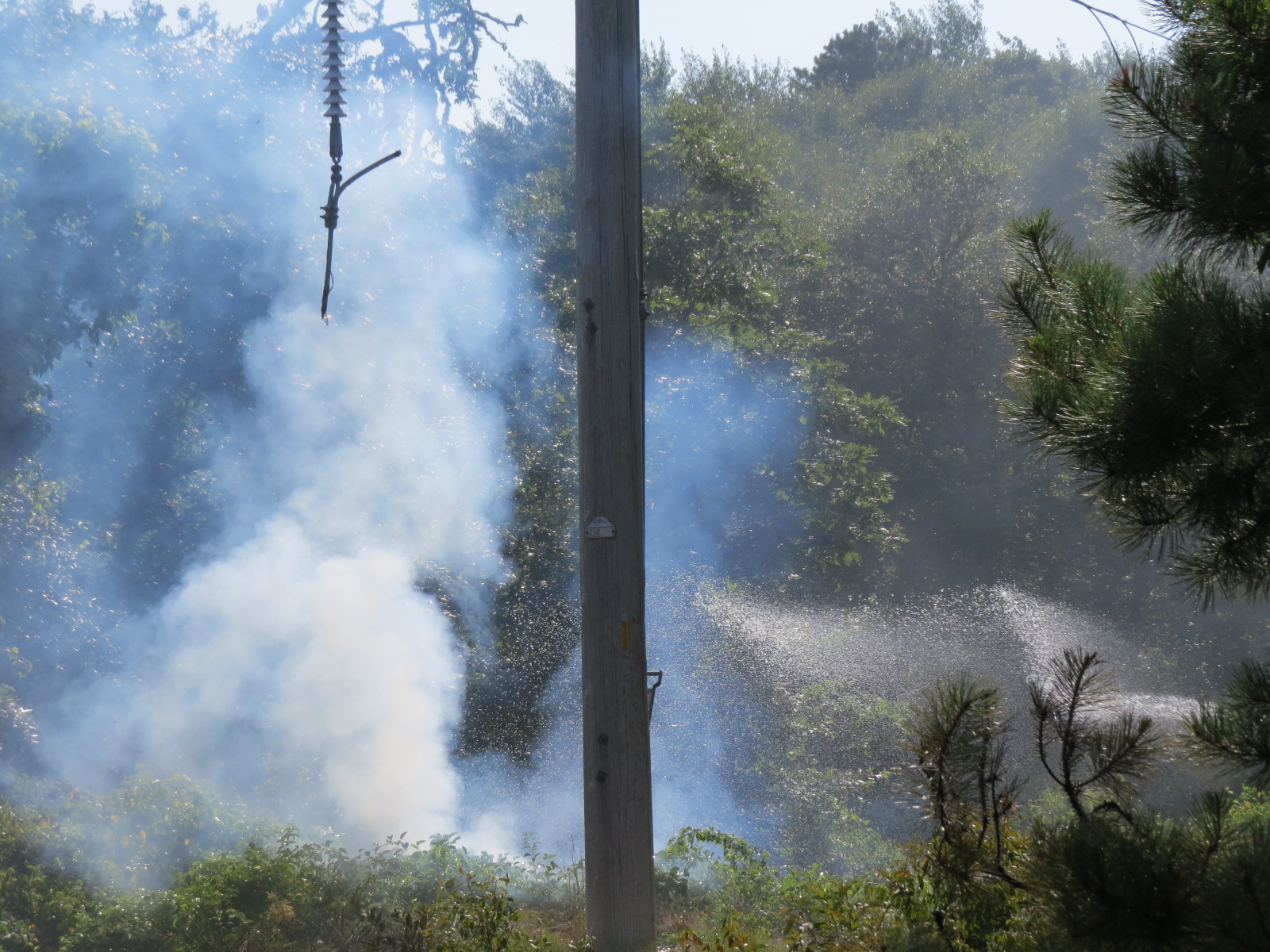 Video: Primary power lines come down in Harwich sparking brush fire