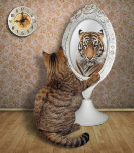iStock Photo