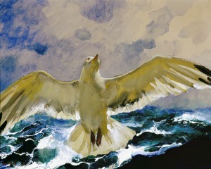 "Gull Rising", © Jamie Wyeth. Private Collection.