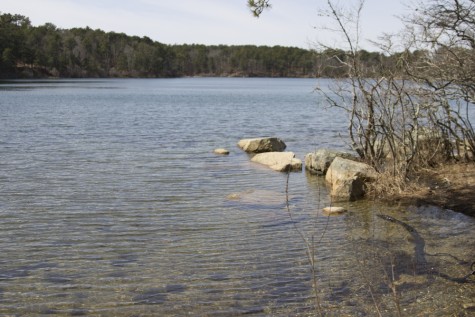 KA_Brewster_Nickerson State Park_040616_Spring_Walk_041