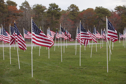 KA_Dennis_Johnny Kelly Park Flags for Vets Veterans Day1511713