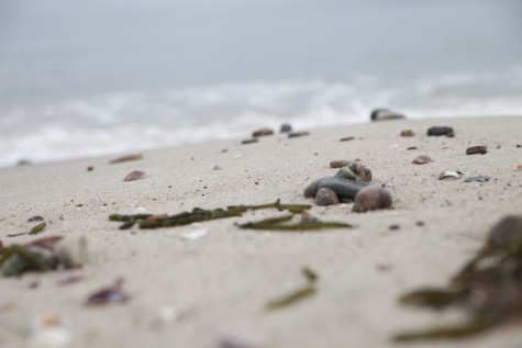 KA_Earl Road Beach_Harwich_ Rainy_123015_Winter105