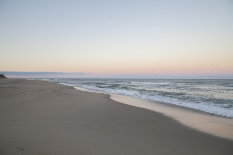 KA_Eastham_before the overwash erosion_seashore_Winter 2016