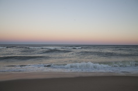 KA_Eastham_before the overwash erosion_seashore_Winter 2016