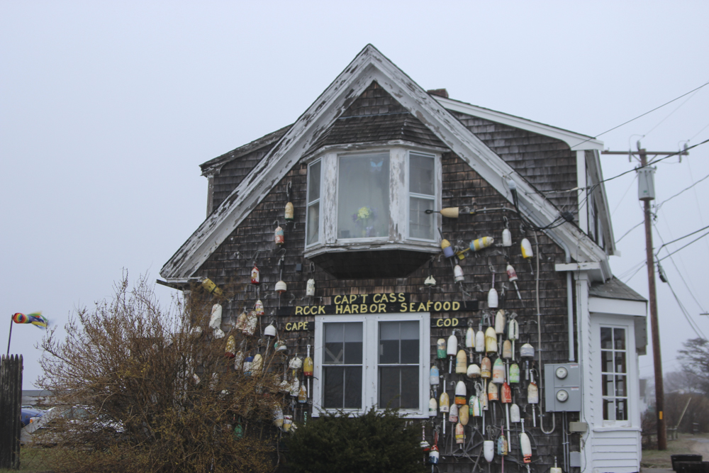 weather underground cape cod weather underground cape cod