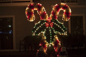KA_Hyannis_Cape Codder Enchanted Village Holiday Christmas Lights_18_120415