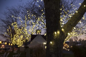 KA_Hyannis_Holiday Christmas Fairy Lights Decorate Decorations Lighting Night51_112415